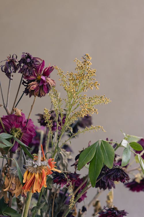 Romantic Bouquet of Flowers