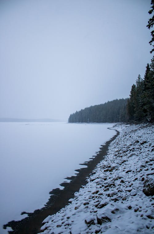 Ilmainen kuvapankkikuva tunnisteilla flunssa, hiekkaranta, jäätynyt järvi