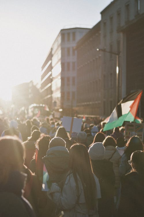 Základová fotografie zdarma na téma dav, demonstrace, města