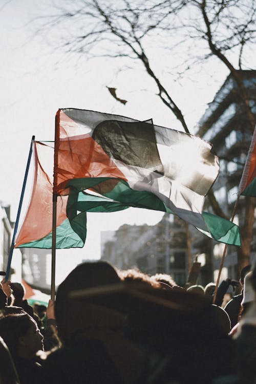 Crowd Demonstrating with Flags of Palestine