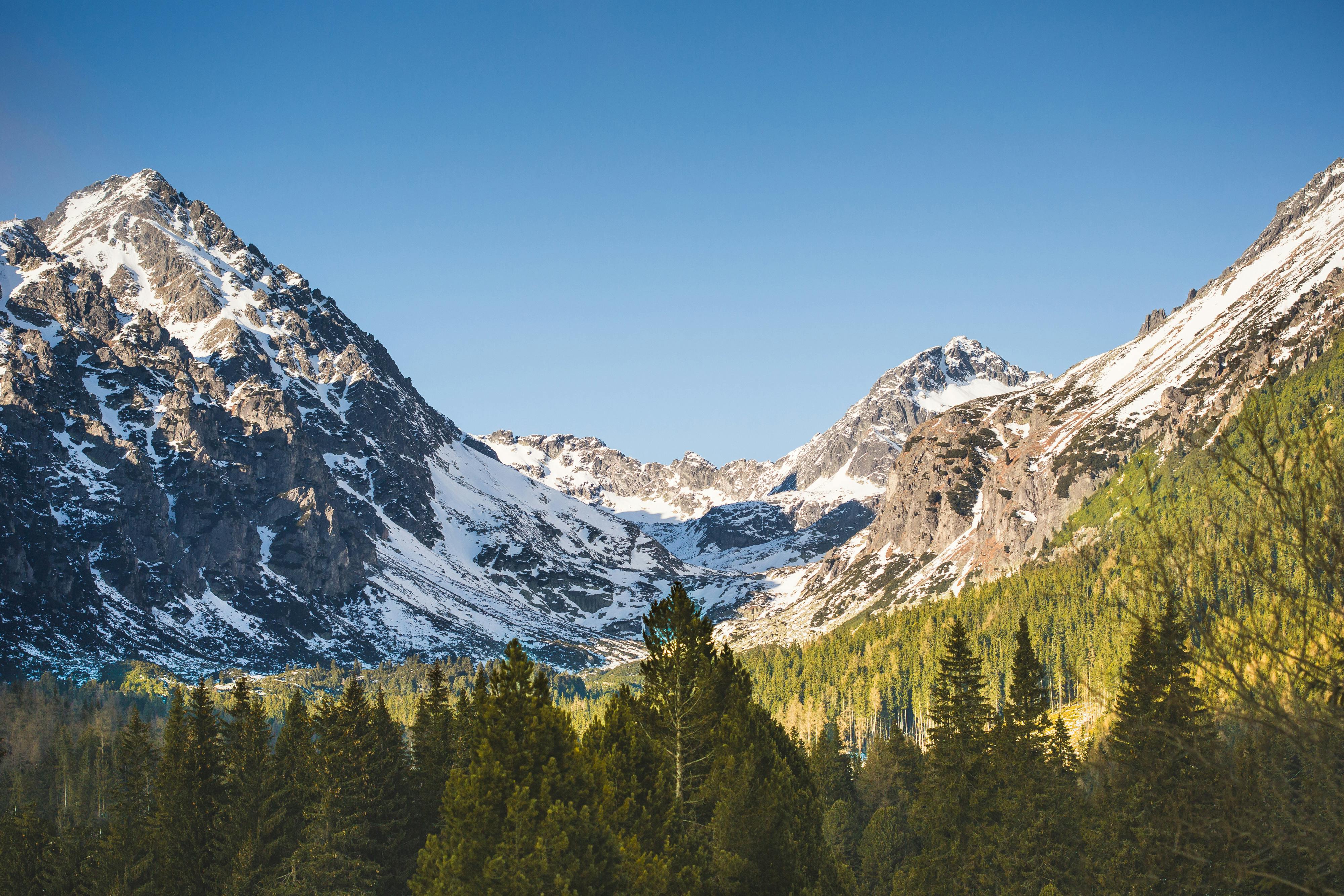Mountain With Snow and Trees · Free Stock Photo