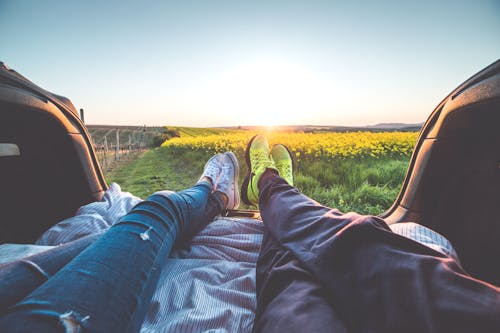 Free 2 People Sitting With View of Yellow Flowers during Daytime Stock Photo