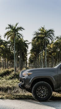 A pickup truck parked by a rural road with a lush orchard of palm trees.