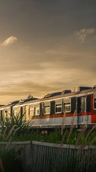 A train moves through verdant bushes at sunset, with dramatic skies and warm tones.