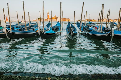 Безкоштовне стокове фото на тему «san giorgio maggiore, берег, Венеція»