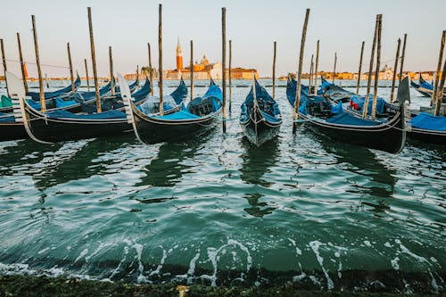 Безкоштовне стокове фото на тему «san giorgio maggiore, берег, Венеція»