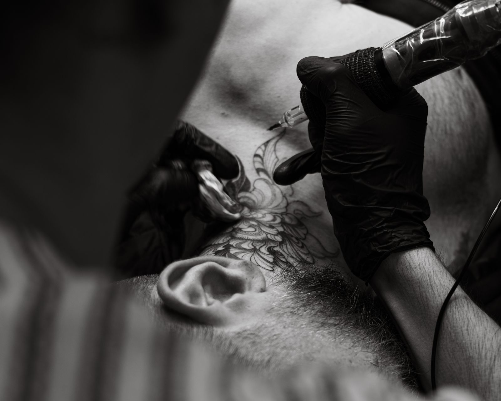 Style NEO-TRADITIONNEL — Studio Noir Absolu