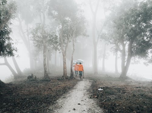 Foto d'estoc gratuïta de 71bangladesh, a l'aire lliure, a terra