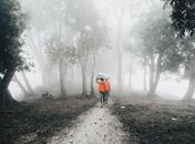 Two men walk through a foggy forest path in Chandpur, Bangladesh, carrying a large bundle.
