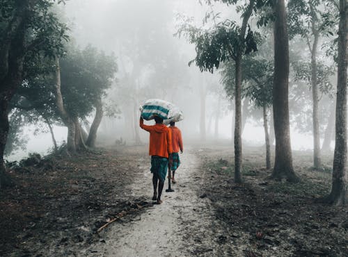 Two people walking down a path in the fog