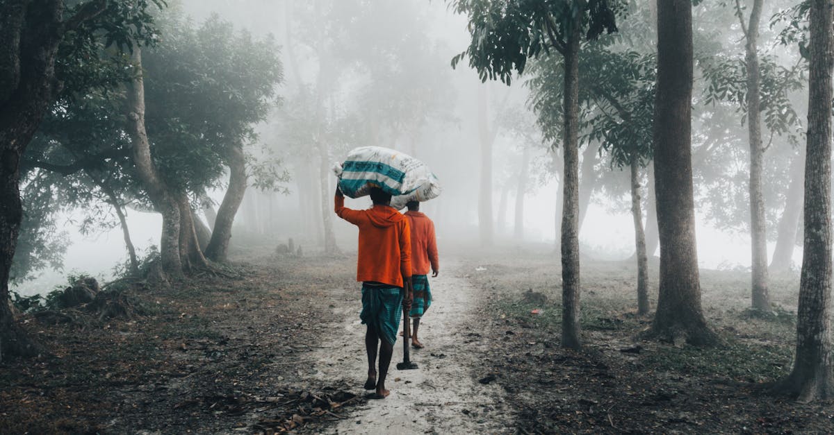 Echo Forests 1 image text