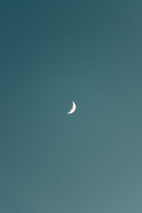 Crescent Moon in the Bright Sky