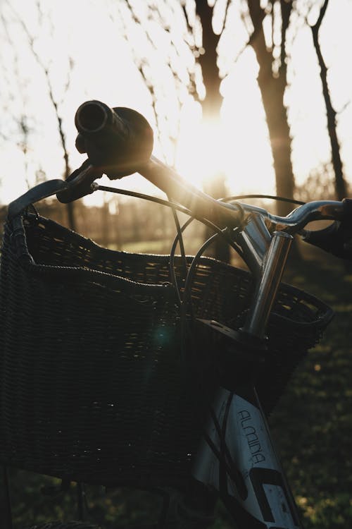Bicycle with Wicker Basket in Countryside at Sunrise