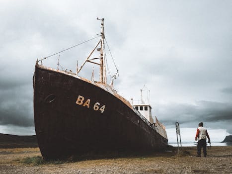 Image by Marina Zvada