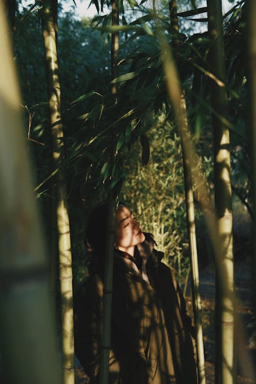 Woman Among Bamboo Trees