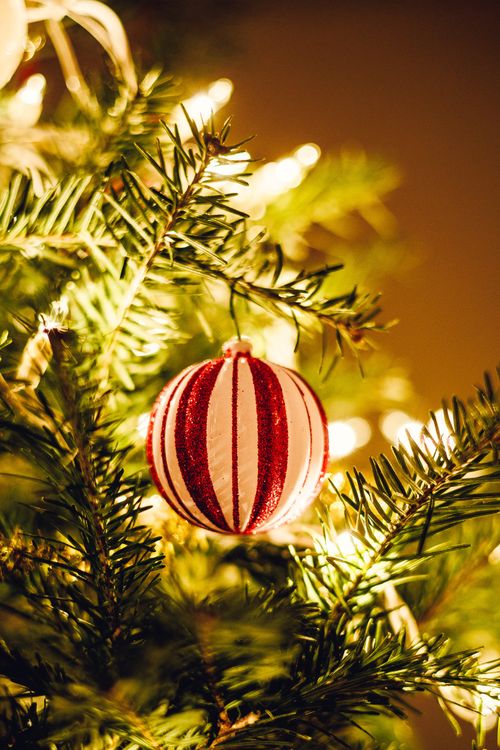 Free Close-up of a red and white Christmas ornament hanging on a tree, beautifully lit. Stock Photo