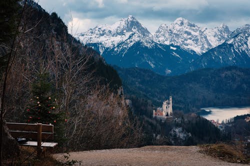 Foto profissional grátis de árvore de Natal, assento, caminhada