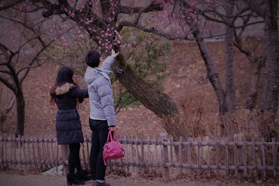 女朋友生病送花祝福语 女朋友生病送花贺卡写什么