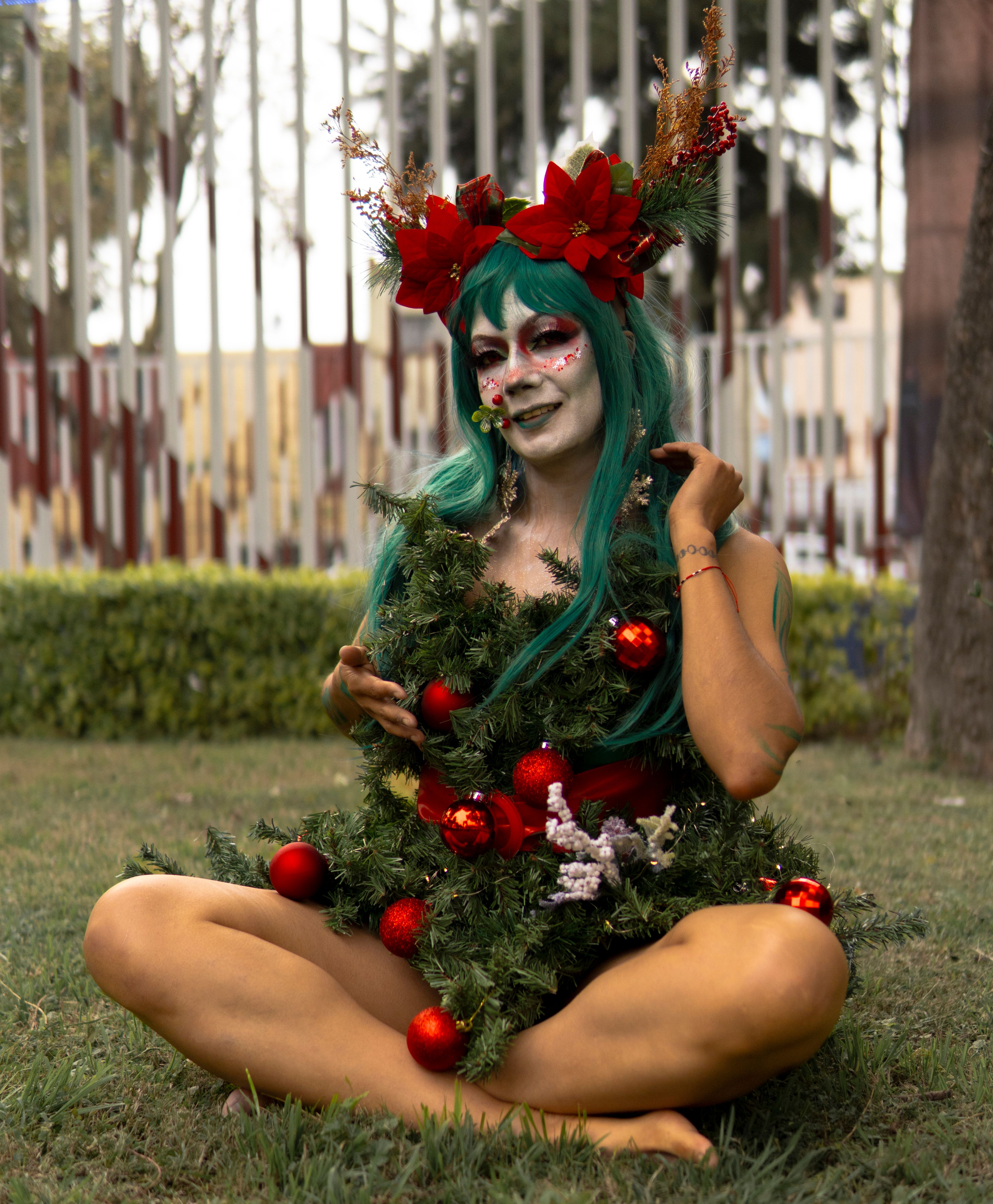 Foto de stock gratuita sobre adornos rojos, ajuste del parque, alegre ...