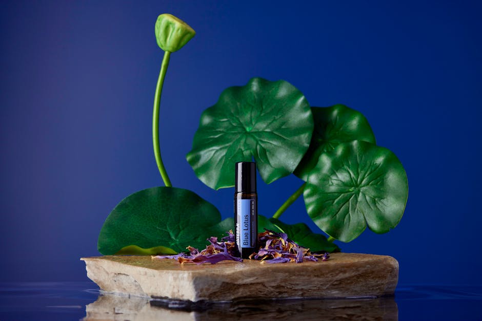 Elevate Your Well-Being with the Mystical Powers of Plant Essences