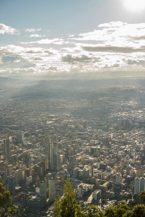 Birds Eye View of City