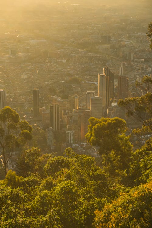 View of Bogota in Sunlight 