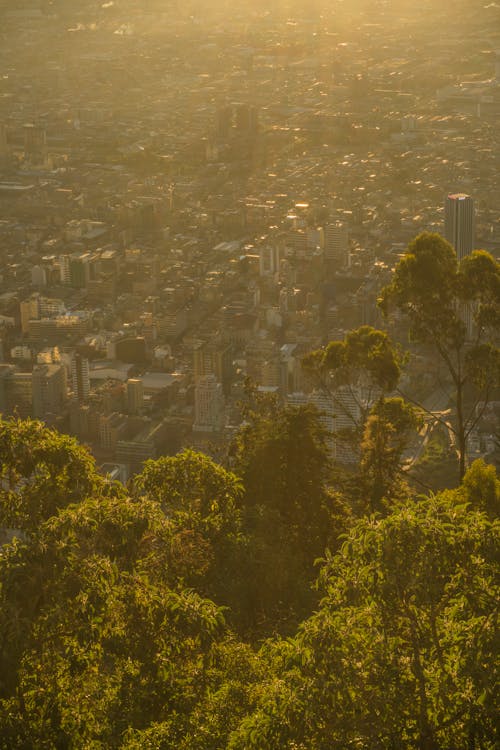 Edificios, atardecer, ciudad