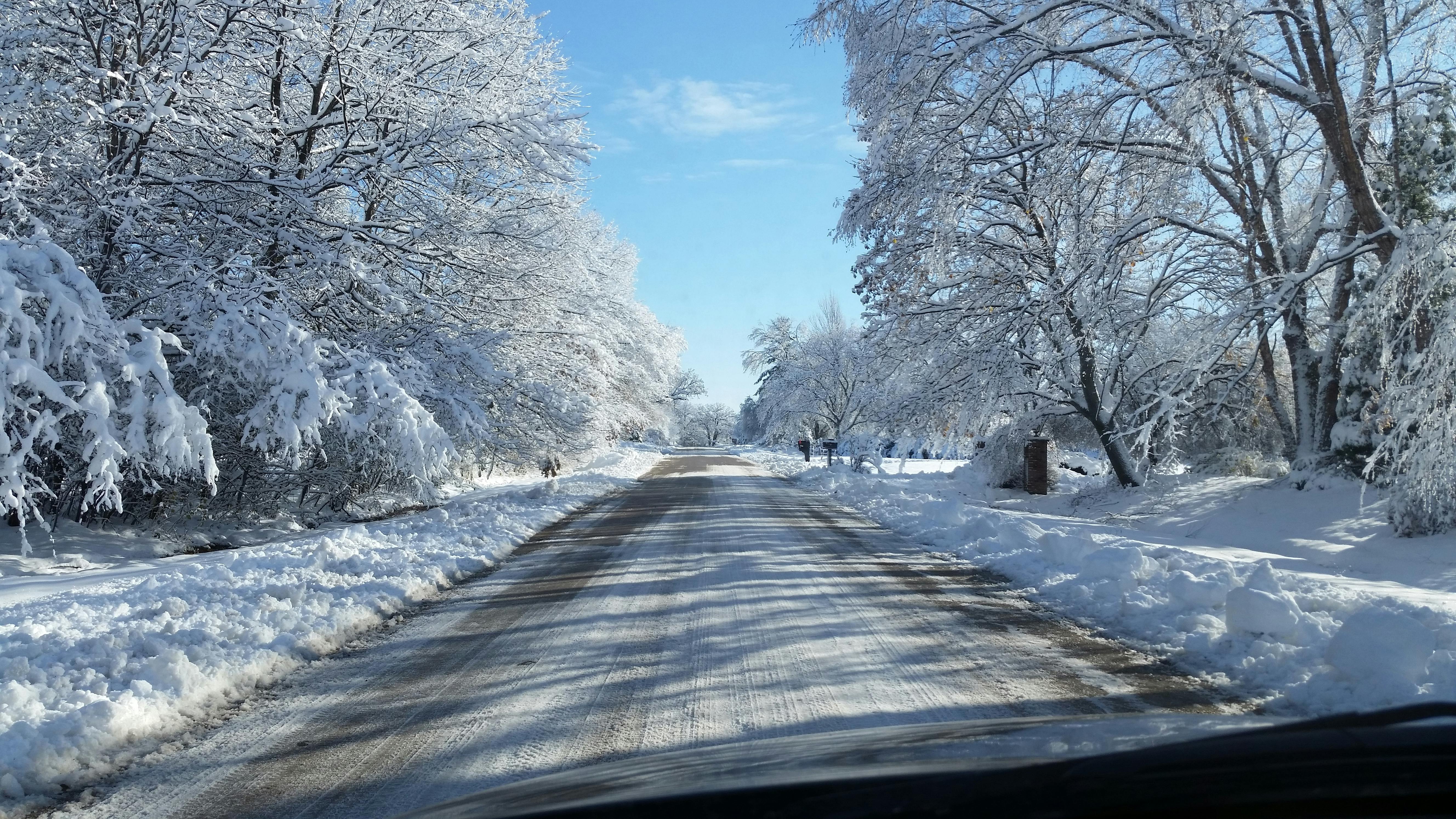 Free stock photo of snow, street, trees