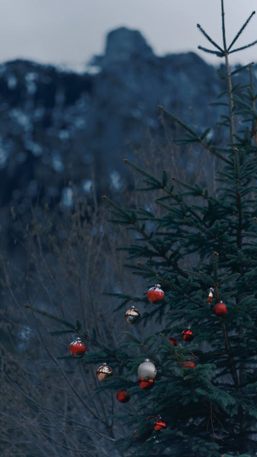 Foto profissional grátis de árvore de Natal, assento, baubles vermelhos