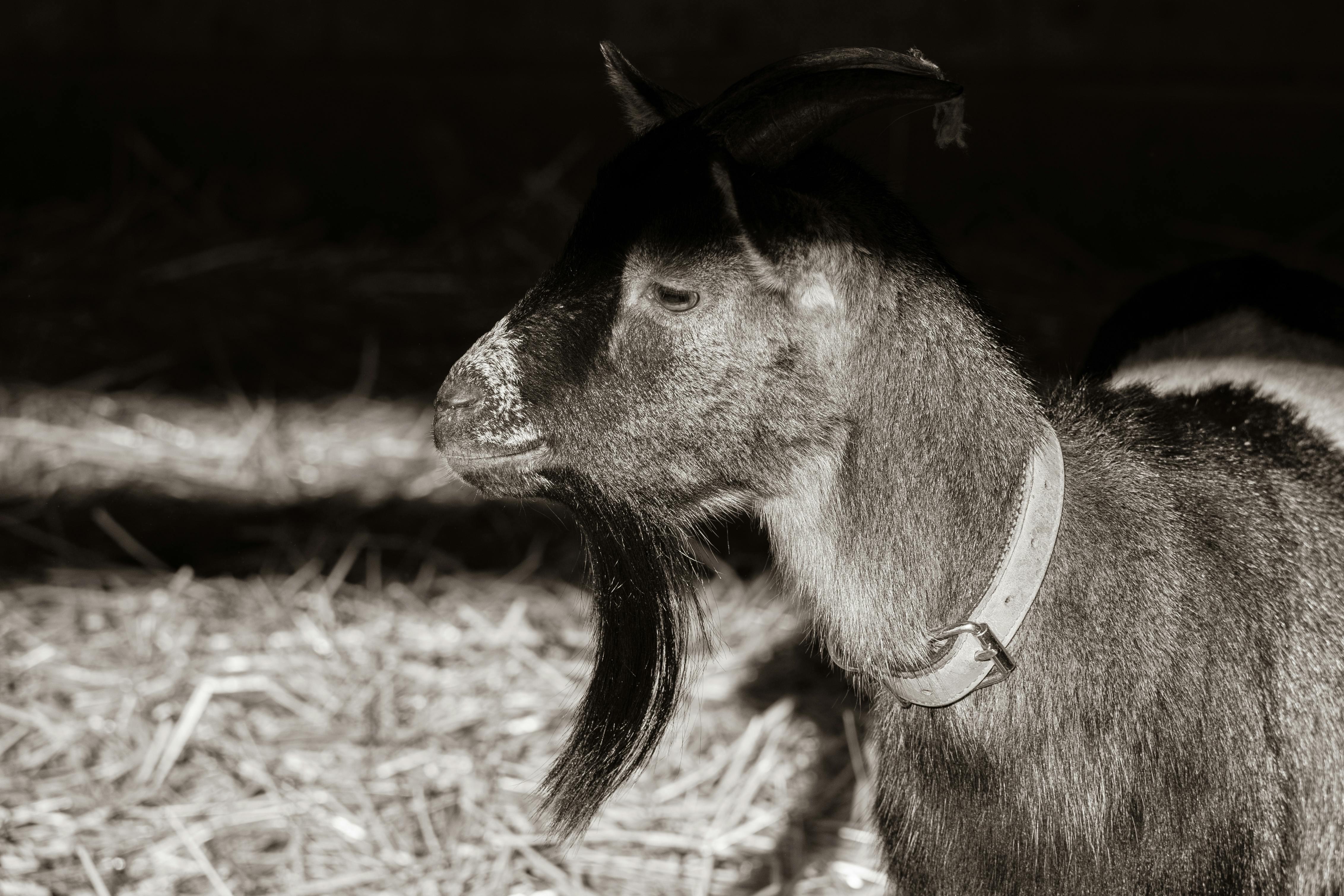 Wisconsin Farm Photos, Download The BEST Free Wisconsin Farm Stock