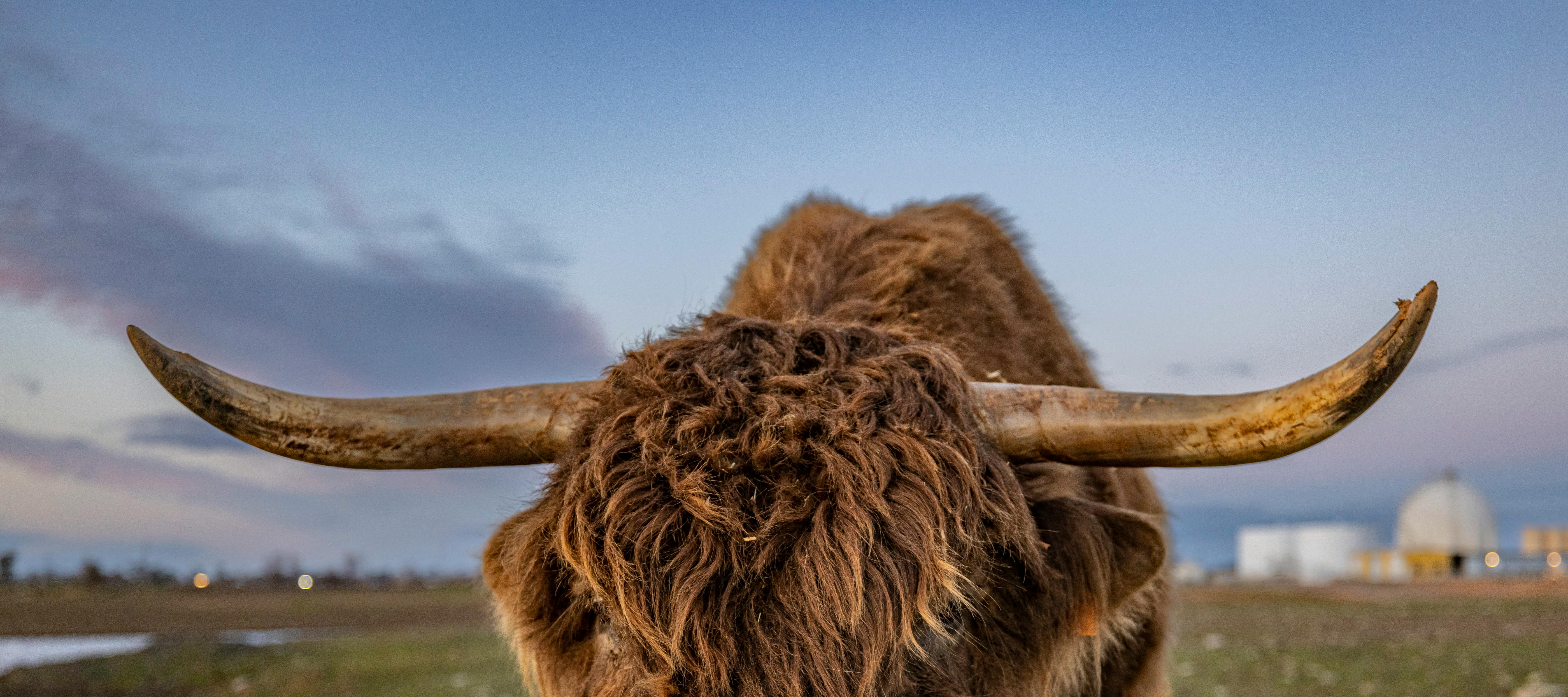 grátis Foto profissional grátis de acidentado, agricultura, ao ar livre Foto profissional