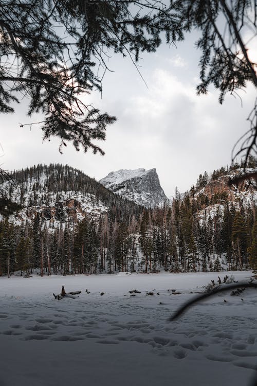 Kostenloses Stock Foto zu bäume, berge, kalt