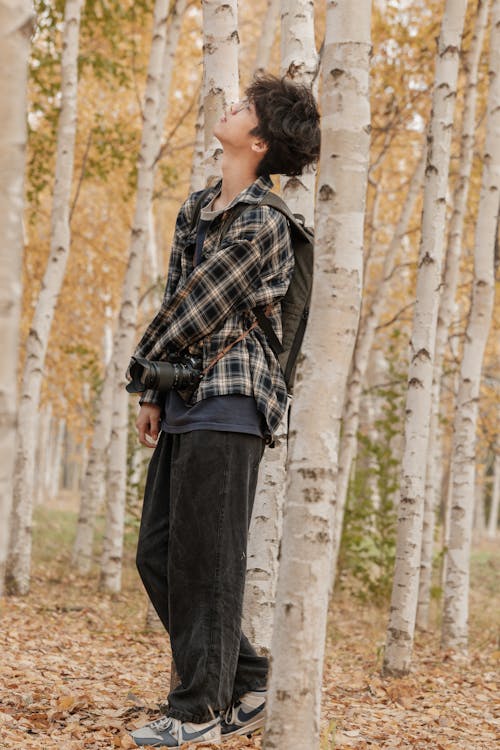 Foto stok gratis anak laki-laki, birch, hutan