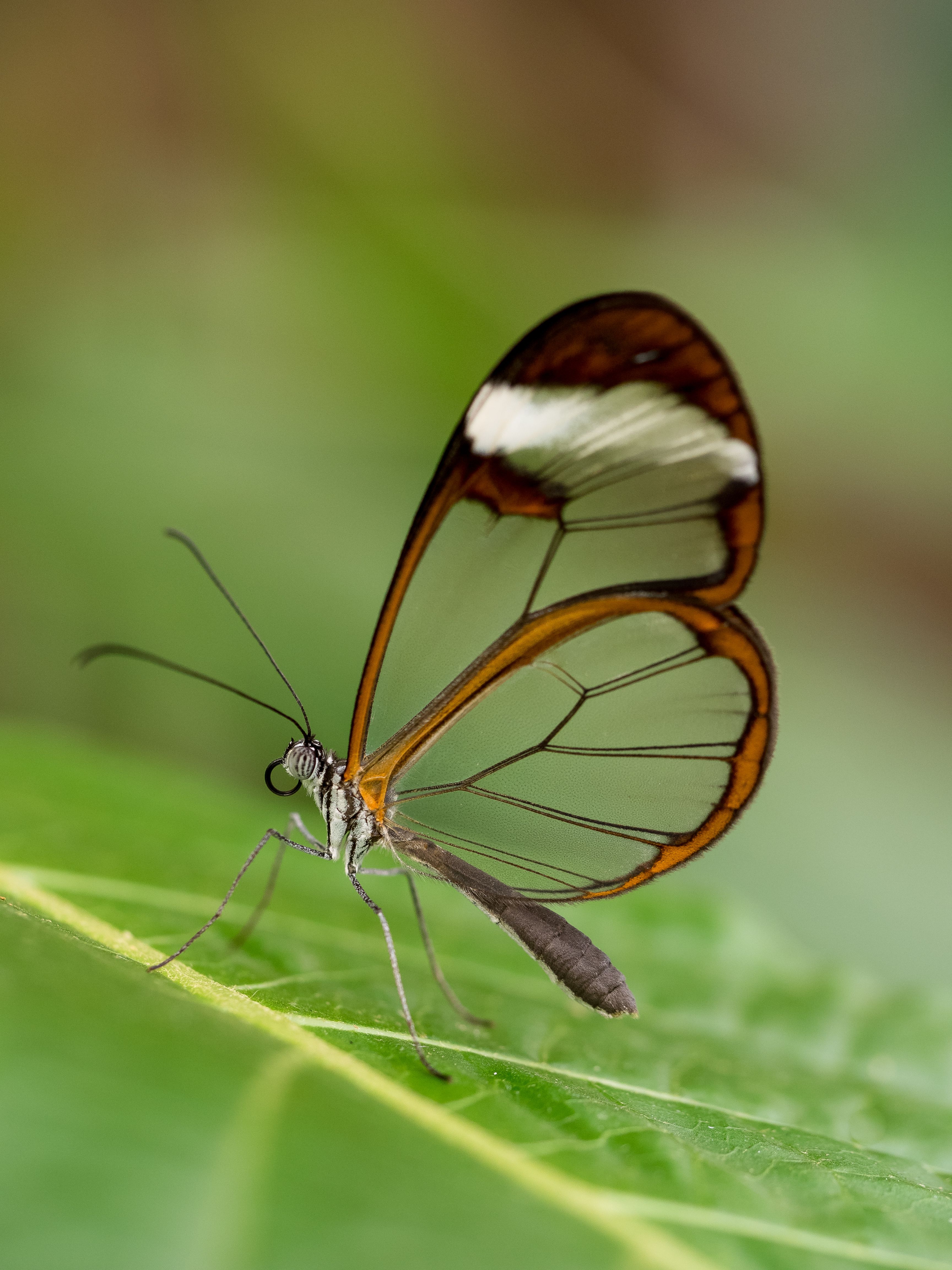 On Anthropic’s Mythos Preview and Project Glasswing