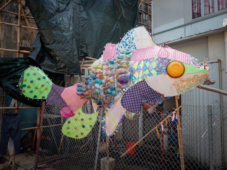 Colorful Fish Decoration