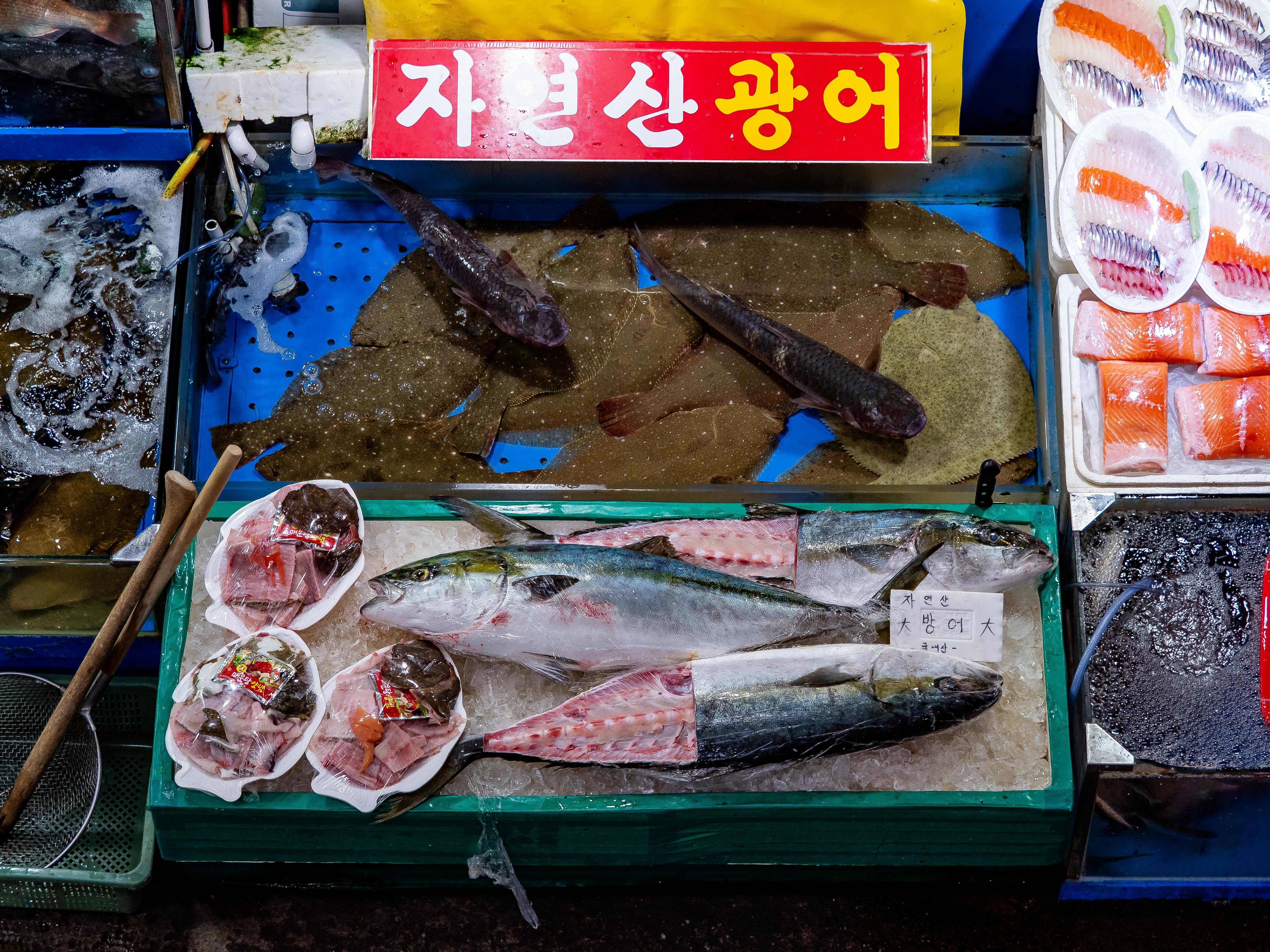 Top view of fresh fish and seafood at a market in Seoul, showcasing vibrant produce.