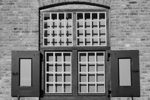 Windows with Shutters in Black and White