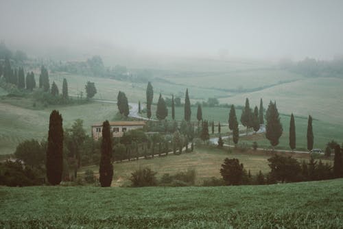 Immagine gratuita di alberi, campagna, paesaggio