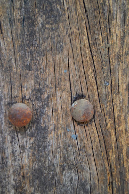 Free Close-up Photography of Two Brown Nailheads Stock Photo