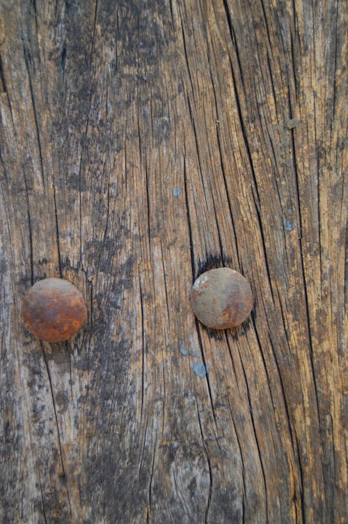 Close-up Photography of Two Brown Nailheads