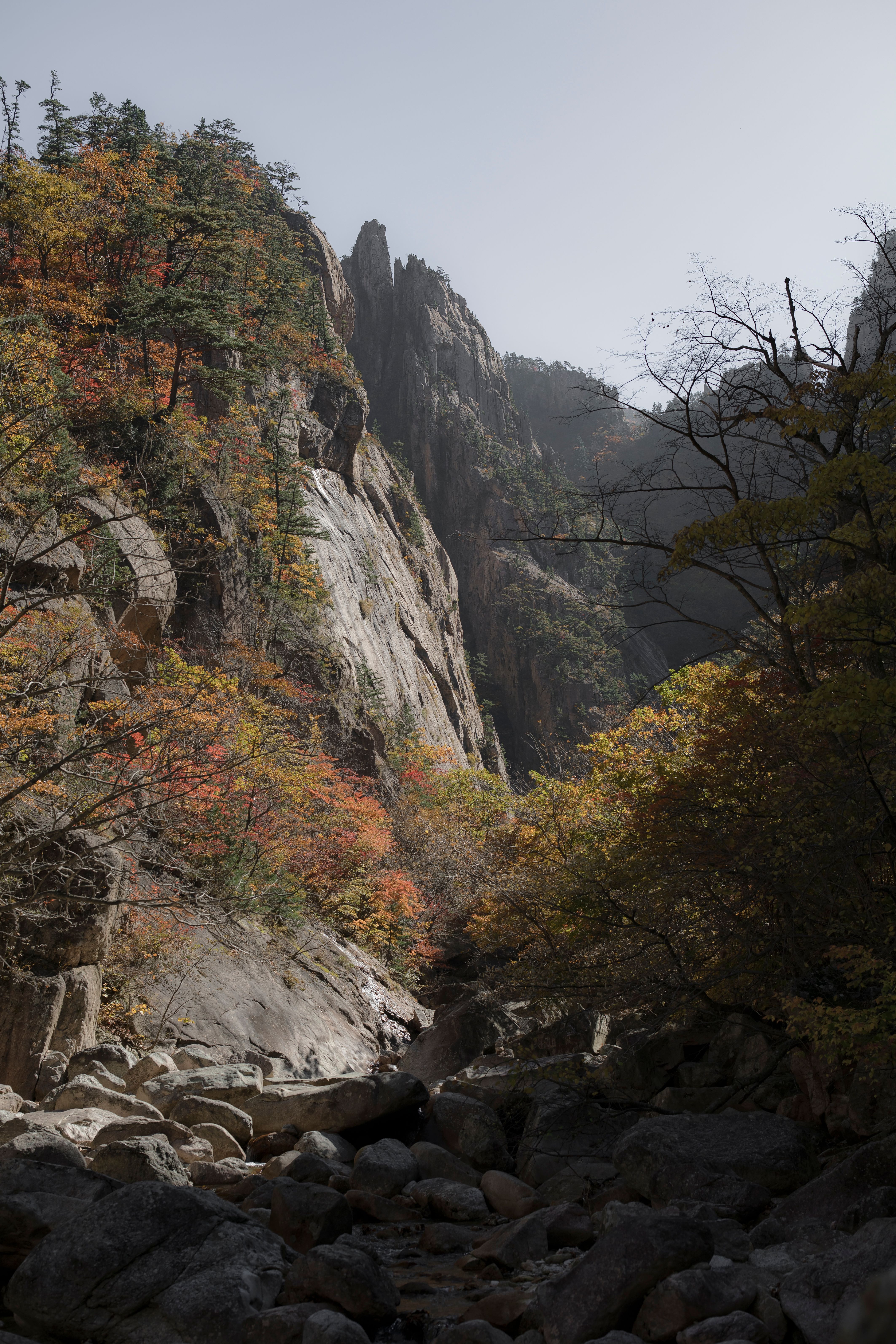 seoraksan hiking trail stairs