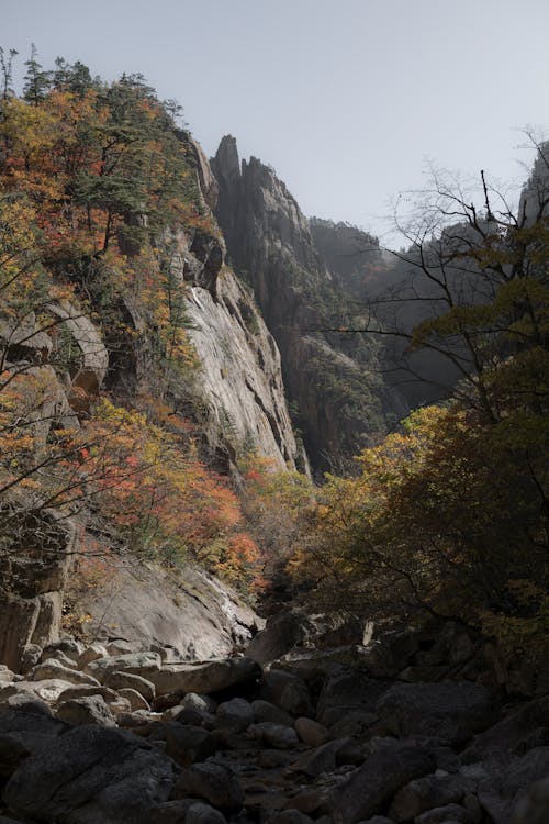 Foto profissional grátis de árvores, caminhar, colinas