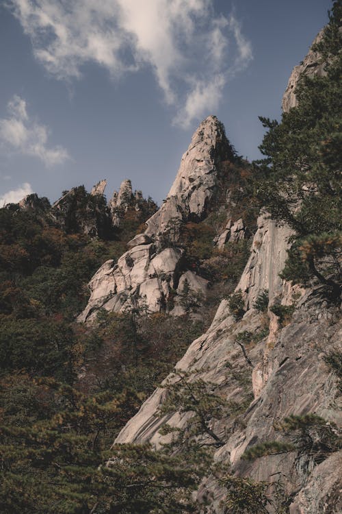 Foto profissional grátis de colina, escalar, montanhas