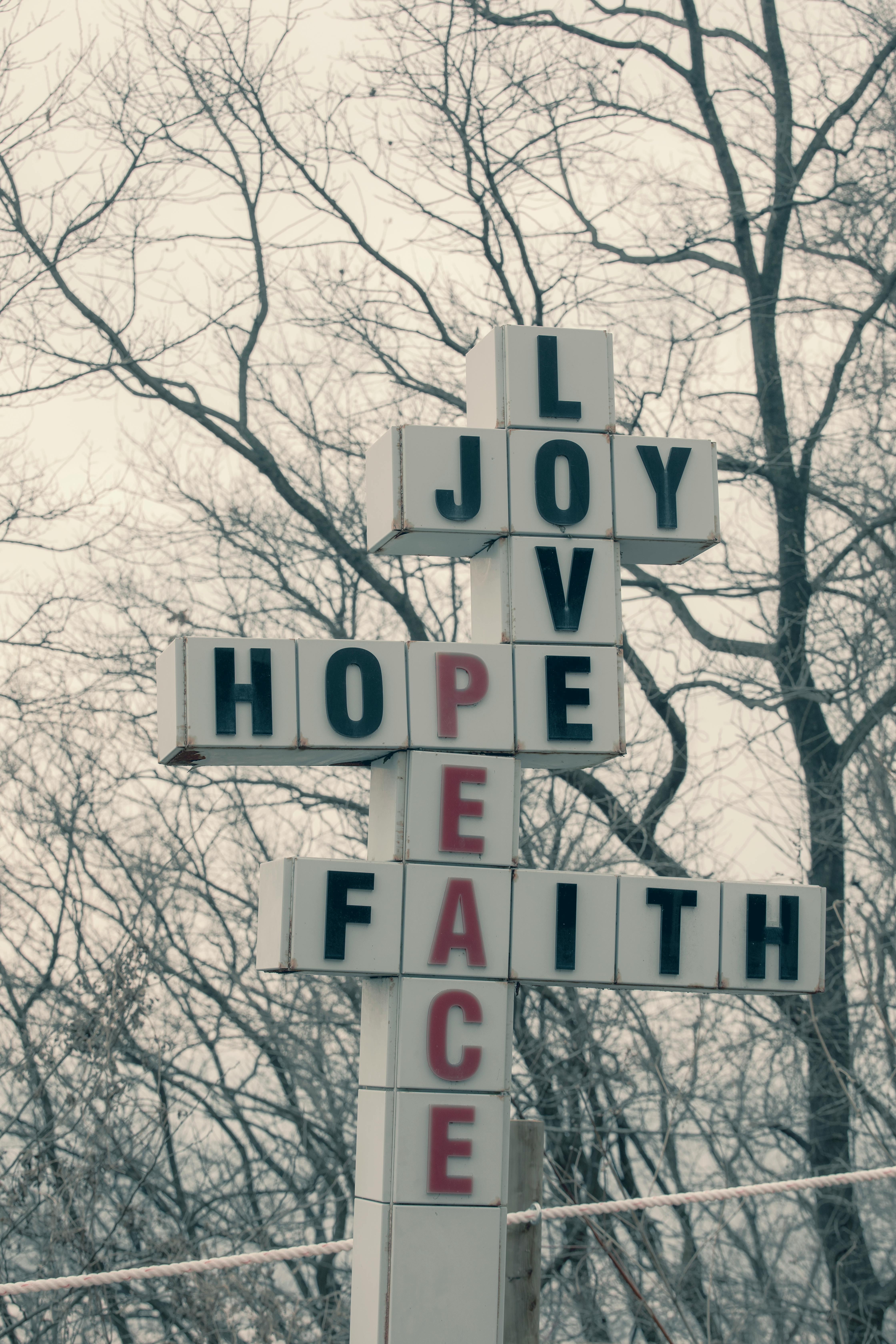 Sign with motivational words during winter, surrounded by barren trees.