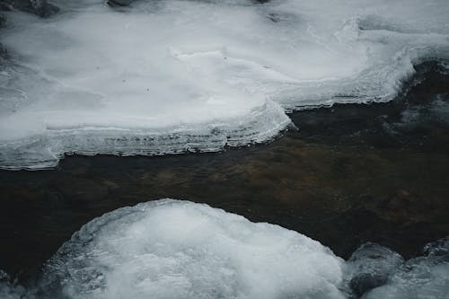 冬季, 冷, 冷冰冰 的 免費圖庫相片