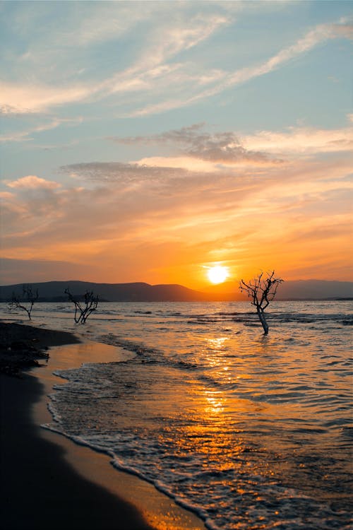 Základová fotografie zdarma na téma blick auf den sonnenuntergang, červená, coucher de soleil