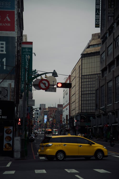 Foto profissional grátis de alameda, amarelo, asfalto