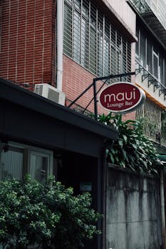 Street view of 'Maui Lounge Bar' exterior with lush ivy, urban setting.