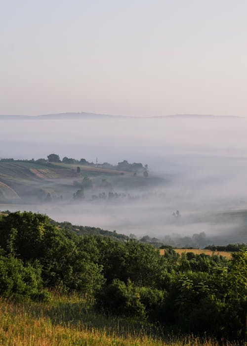 Ingyenes stockfotó dombok, fák, felhő témában