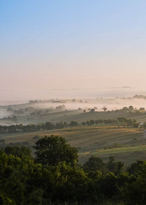 Free Aerial view of a misty countryside landscape at dawn with lush green fields and scattered trees. Stock Photo